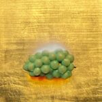 藤田新『豊穣』