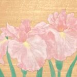 猪熊佳子『花菖蒲』