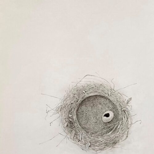 名和智明『鳥の巣』