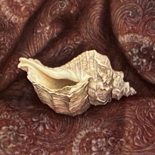 杉澤義人『silentium』