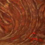 杉澤義人『silentium』