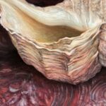 杉澤義人『silentium』