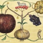 盛本学史『白い犬の大冒険～植物世界～』