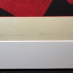 荒井善則『Soft Ⅼanding to Season 2013・赤』