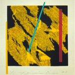 荒井善則『Soft Ⅼanding to Season 2013・黄』