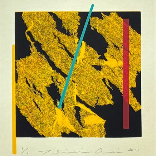 荒井善則『Soft Ⅼanding to Season 2013・黄』