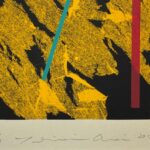 荒井善則『Soft Ⅼanding to Season 2013・黄』