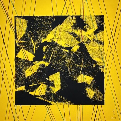 荒井善則『Soft Ⅼanding to Season 2017・黄』