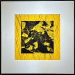 荒井善則『Soft Ⅼanding to Season 2017・黄』