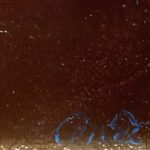 三嶋哲也『バラ』