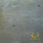 星野美知枝『水面の薔薇』