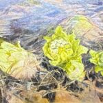 菊池潤子『ふきのとうひらく』