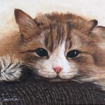 会田栄喜『ねこ』