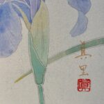 河本真理『花菖蒲』