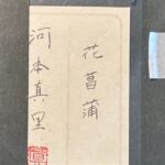 河本真理『花菖蒲』