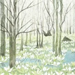 inokumakeiko-kiramekumoriemizubasyo