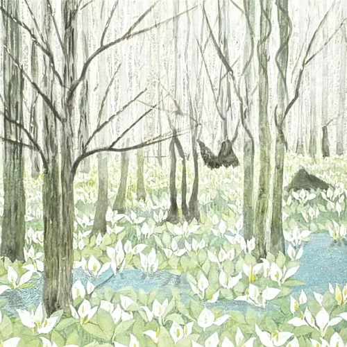 inokumakeiko-kiramekumoriemizubasyo