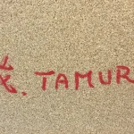 tamura noriko sobyou4